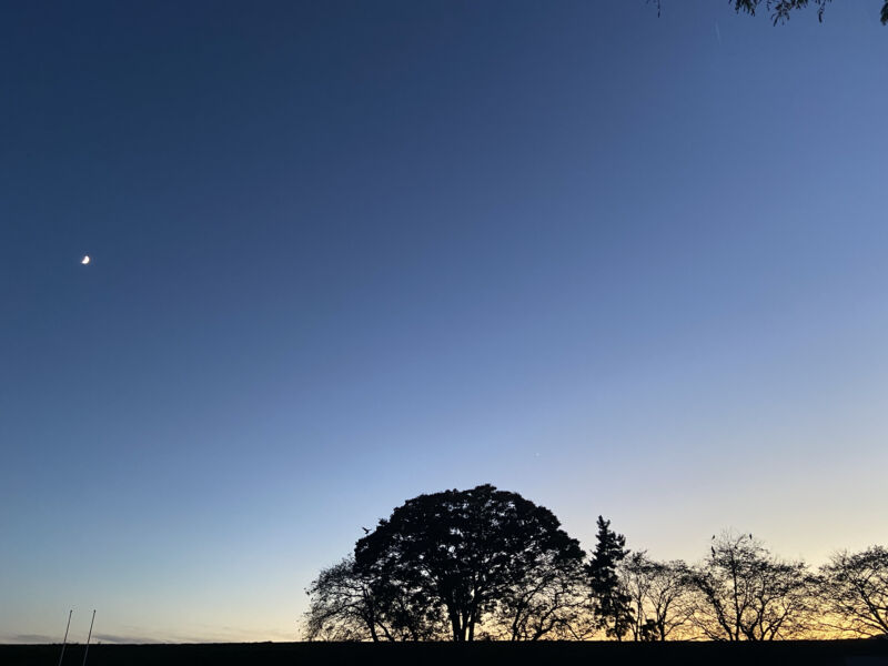 遅くまで勉強して帰るときに駐車場から撮れた夕暮れ写真。この写真を見ると、この時間まで頑張ってよかったな！と思い返せます。